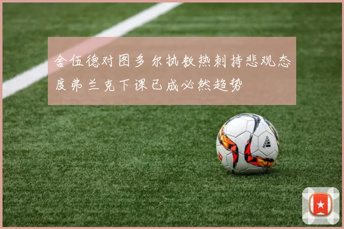 舍伍德对图多尔执教热刺持悲观态度弗兰克下课已成必然趋势