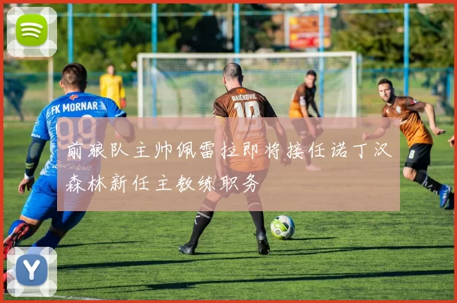 前狼队主帅佩雷拉即将接任诺丁汉森林新任主教练职务